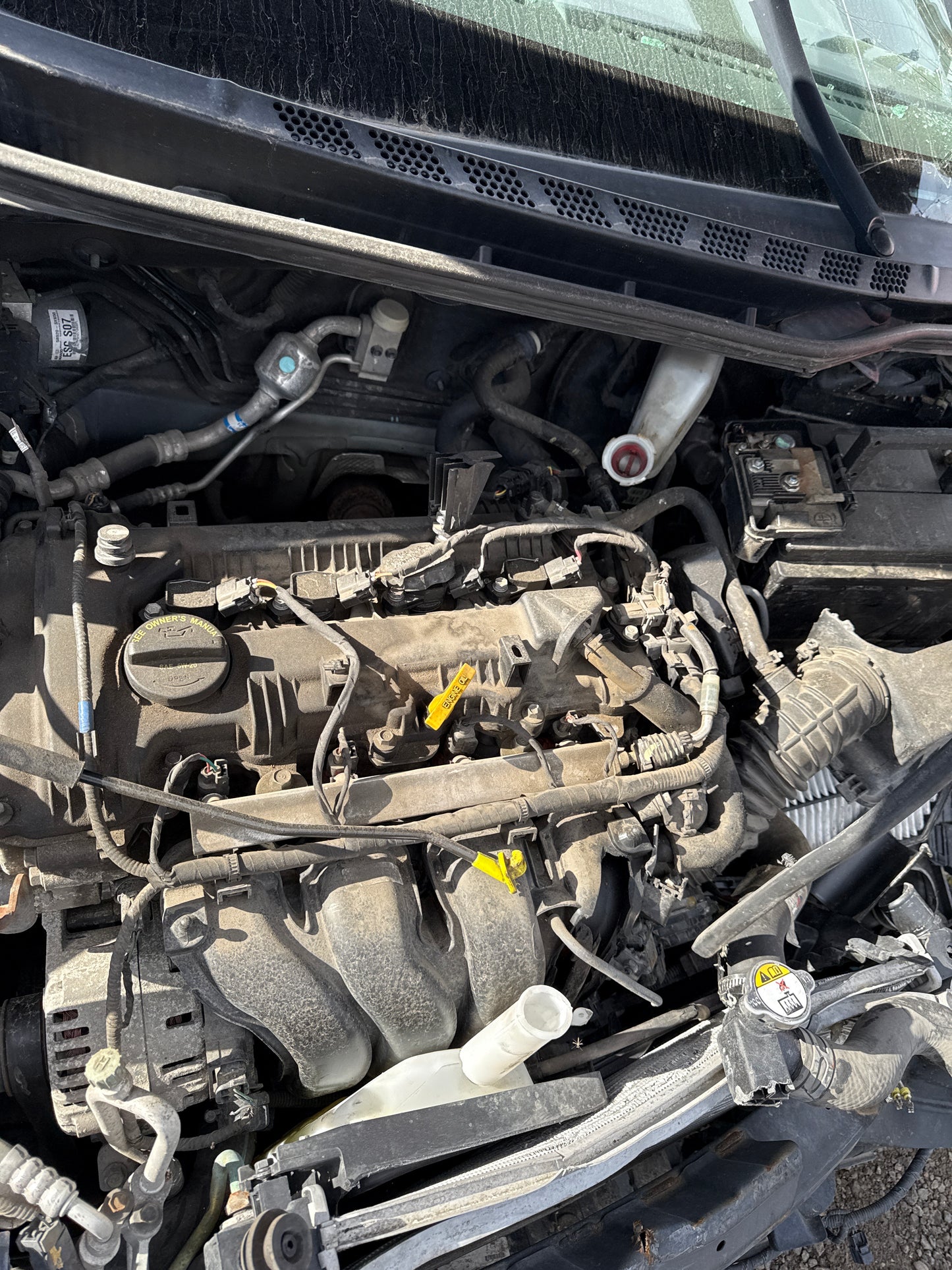 2013 Hyundai Elantra / N Yard
