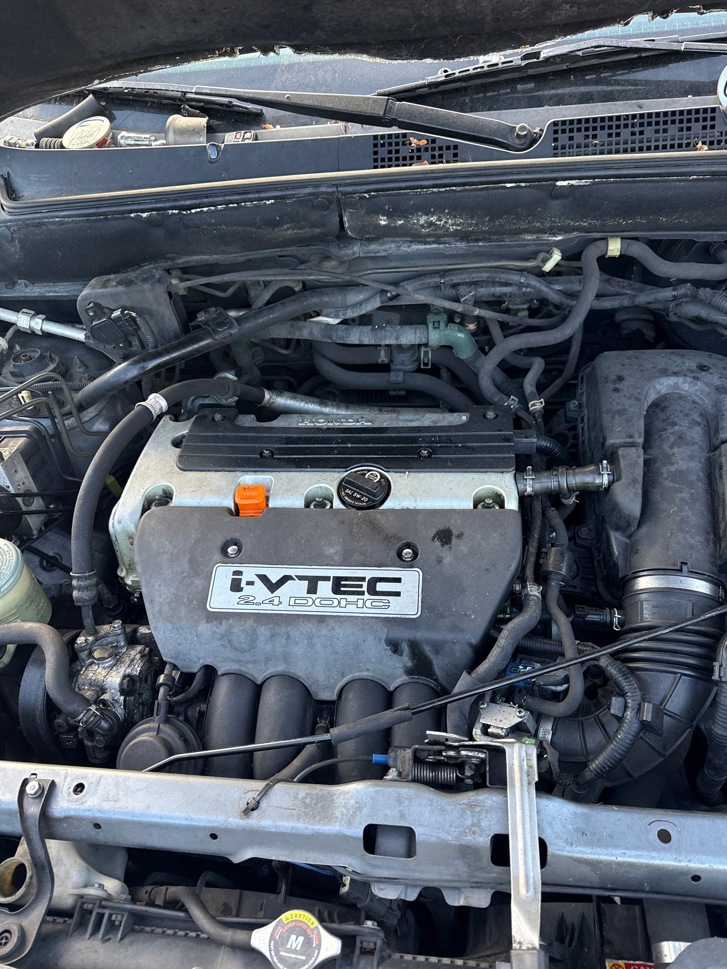 2006 Honda CR-V / N Yard