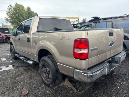 2004 Ford F-150 / N Yard