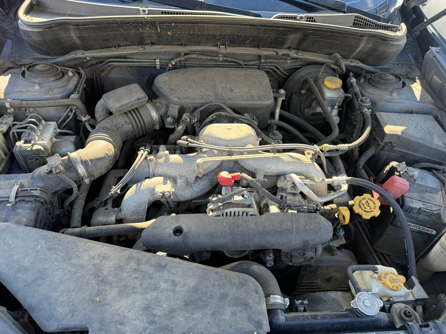 2010 Subaru Forester / N Yard