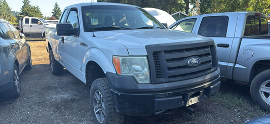 2010 Ford F-150 / SE Yard
