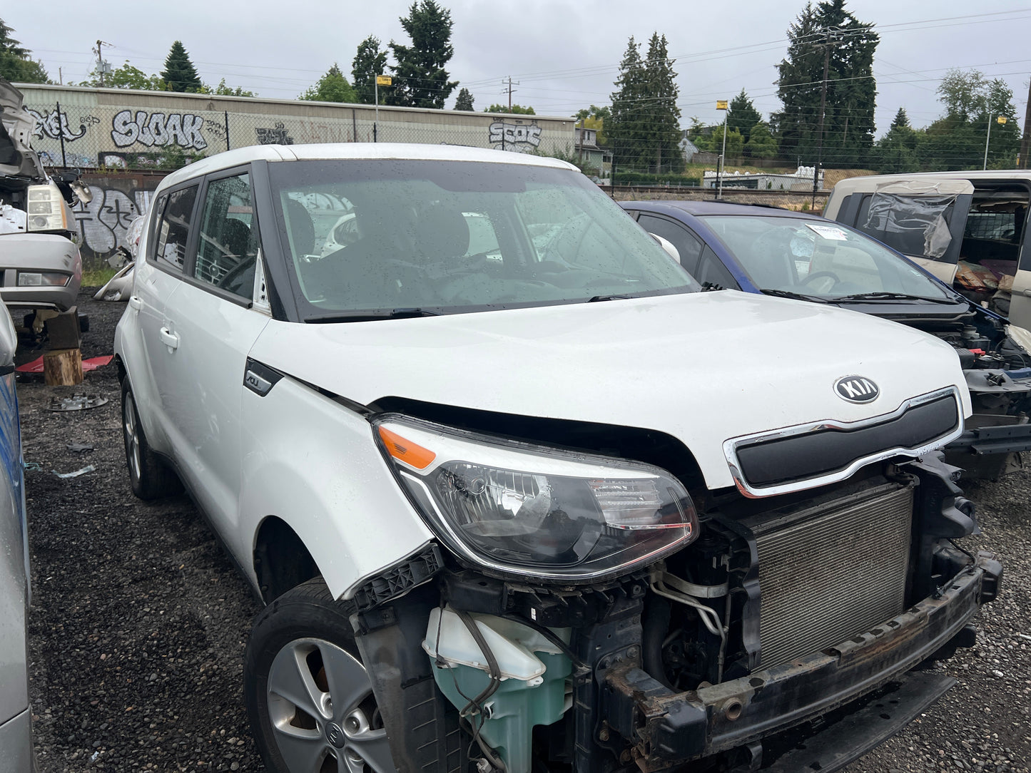 2016 Kia Soul / N Yard