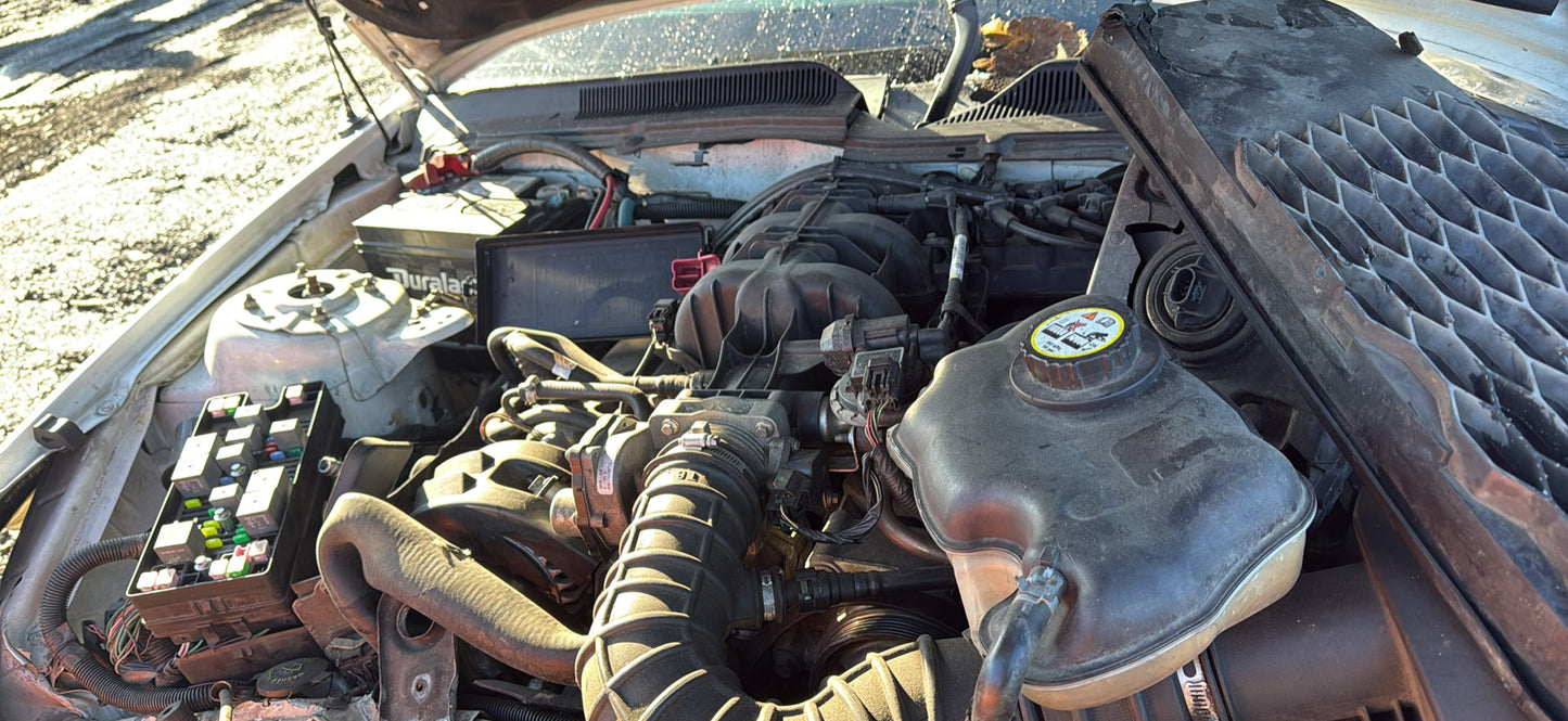 2005 Ford Mustang / N Yard