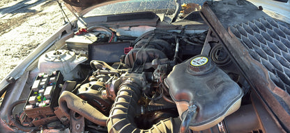 2005 Ford Mustang / N Yard