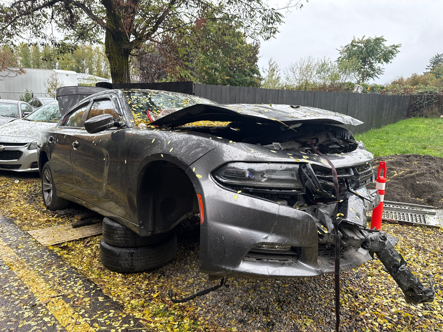2016 Dodge Charger / SE Yard
