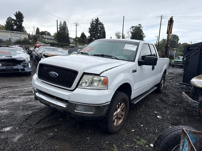 2004 Ford F-150 / N Yard
