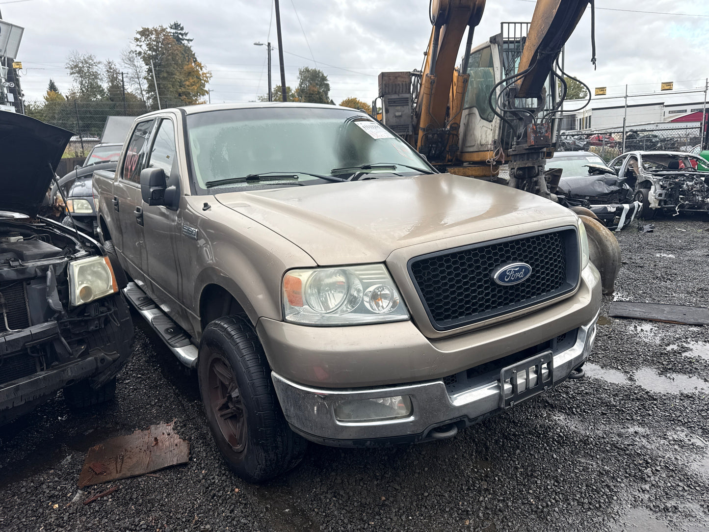 2004 Ford F-150 / N Yard