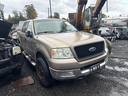 2004 Ford F-150 / N Yard
