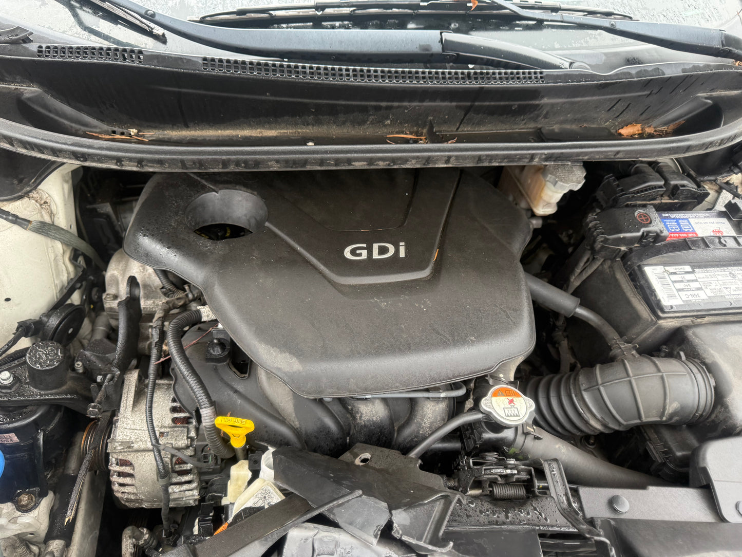 2014 Kia Rio / N yard