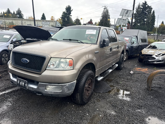 2004 Ford F-150 / N Yard