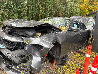 2016 Dodge Charger / SE Yard