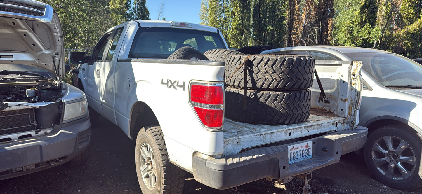 2010 Ford F-150 / SE Yard