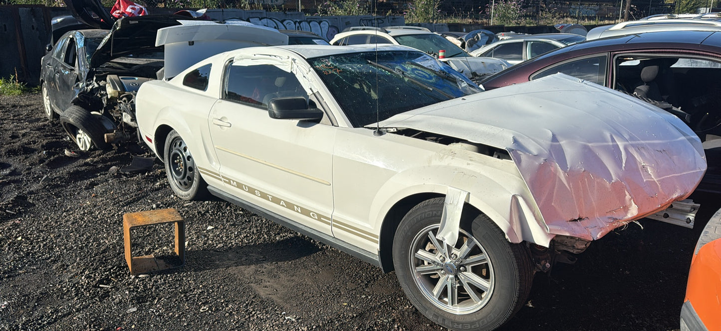 2005 Ford Mustang / N Yard
