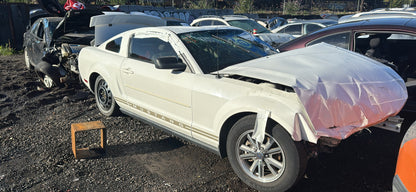 2005 Ford Mustang / N Yard