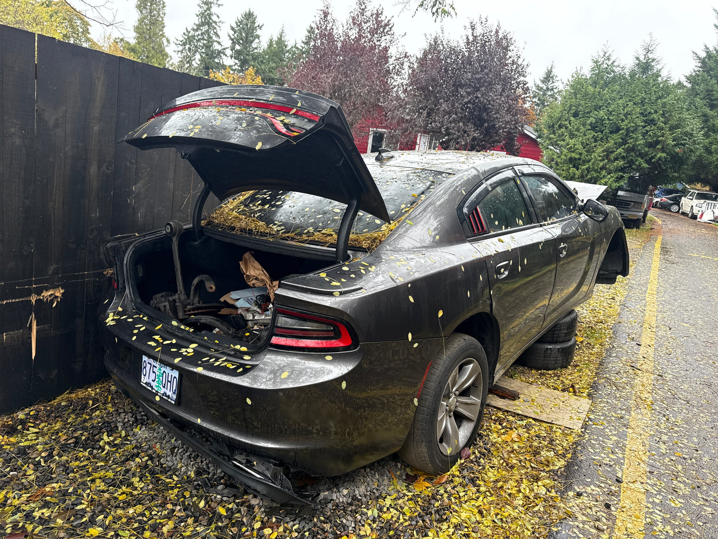 2016 Dodge Charger / SE Yard