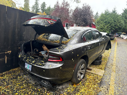 2016 Dodge Charger / SE Yard