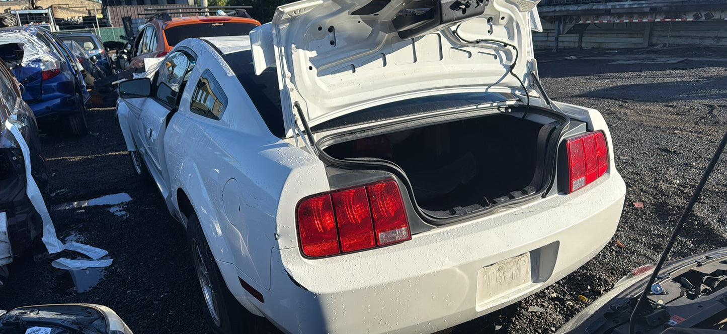 2005 Ford Mustang / N Yard
