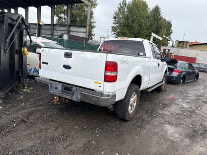 2004 Ford F-150 / N Yard