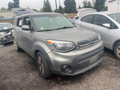 2017 Kia Soul / N Yard