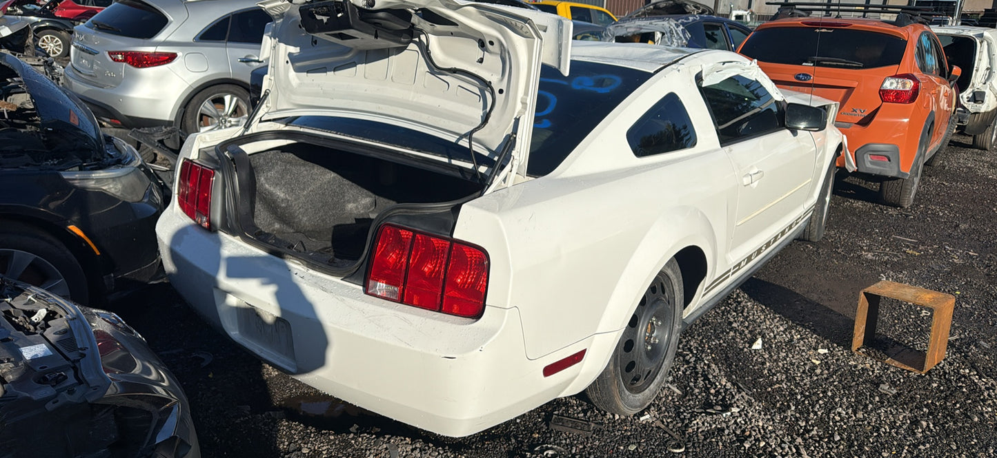 2005 Ford Mustang / N Yard